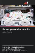 Basso peso alla nascita af Estherlila Mirabal Mendoza
