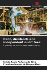Debt, dividends and independent audit fees af Stênio Sávio Portácio Da Silva