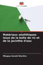 Matériaux zéolithiques issus de la balle de riz et de la jacinthe d'eau af Mbugua Gerald Wachira
