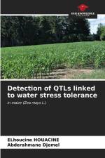 Detection of QTLs linked to water stress tolerance af Elhoucine Houacine