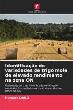 Identificação de variedades de trigo mole de elevado rendimento na zona ON af Hamara Dabo
