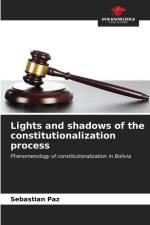 Lights and shadows of the constitutionalization process af Sebastián Paz