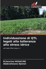 Individuazione di QTL legati alla tolleranza allo stress idrico af Elhoucine Houacine