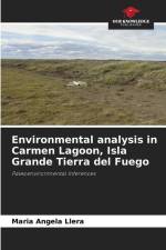 Environmental analysis in Carmen Lagoon, Isla Grande Tierra del Fuego af Maria Angela Llera