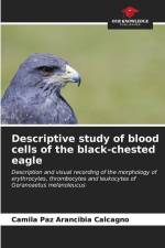 Descriptive study of blood cells of the black-chested eagle af Camila Paz Arancibia Calcagno