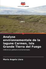 Analyse environnementale de la lagune Carmen, Isla Grande Tierra del Fuego af Maria Angela Llera