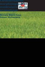 Caractérisation morphologique et moléculaire du riz aromatique af Nirmala Bharti Patel