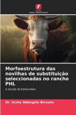 Morfoestrutura das novilhas de substituição seleccionadas no rancho PHL af Scoty Ndongala Bivuatu