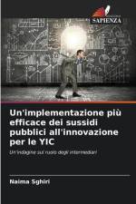 Un'implementazione più efficace dei sussidi pubblici all'innovazione per le YIC af Naima Sghiri