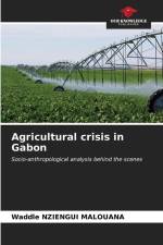 Agricultural crisis in Gabon af Waddle Nziengui Malouana