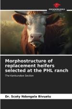 Morphostructure of replacement heifers selected at the PHL ranch af Scoty Ndongala Bivuatu