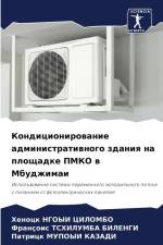 Kondicionirowanie administratiwnogo zdaniq na ploschadke PMKO w Mbudzhimai af Henock Ngoyi Cilombo