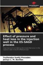Effect of pressure and heat loss in the injection well in the ES-SAGD process af Tayllandya Suelly Praxedes