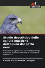 Studio descrittivo delle cellule ematiche dell'aquila dal petto nero af Camila Paz Arancibia Calcagno