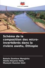 Schéma de la composition des micro-invertébrés dans la rivière awetu, Éthiopie af Bekele Damtew Mengistu