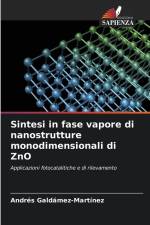 Sintesi in fase vapore di nanostrutture monodimensionali di ZnO af Andrés Galdámez-Martínez
