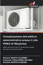 Climatizzazione dell'edificio amministrativo presso il sito PMKO di Mbujimayi af Henock Ngoyi Cilombo