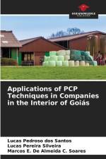 Applications of PCP Techniques in Companies in the Interior of Goiás af Lucas Pedroso Dos Santos