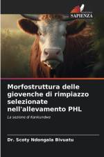 Morfostruttura delle giovenche di rimpiazzo selezionate nell'allevamento PHL af Scoty Ndongala Bivuatu