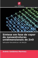 Síntese em fase de vapor de nanoestruturas unidimensionais de ZnO af Andrés Galdámez-Martínez