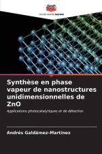 Synthèse en phase vapeur de nanostructures unidimensionnelles de ZnO af Andrés Galdámez-Martínez