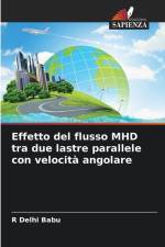 Effetto del flusso MHD tra due lastre parallele con velocità angolare af R. Delhi Babu