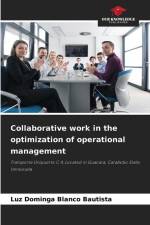 Collaborative work in the optimization of operational management af Luz Dominga Blanco Bautista