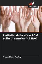 L'effetto delle sfide SCM sulle prestazioni di HAO af Mebrahtom Tesfay