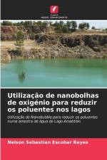 Utilização de nanobolhas de oxigénio para reduzir os poluentes nos lagos af Nelson Sebastian Escobar Reyes