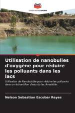 Utilisation de nanobulles d'oxygène pour réduire les polluants dans les lacs af Nelson Sebastian Escobar Reyes