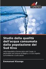 Studio della qualità dell'acqua consumata dalla popolazione del Sud Kivu af Emmanuel Kizungu