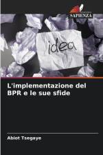 L'implementazione del BPR e le sue sfide af Abiot Tsegaye