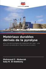 Matériaux durables dérivés de la pyrolyse af Mahmoud F. Mubarak
