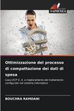 Ottimizzazione del processo di compattazione dei dati di spesa af Bouchra Ramdani