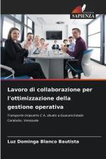 Lavoro di collaborazione per l'ottimizzazione della gestione operativa af Luz Dominga Blanco Bautista