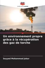 Un environnement propre grâce à la récupération des gaz de torche af Seyyed Mohammad Jokar
