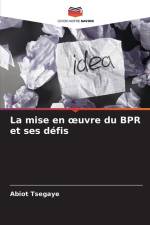 La mise en ¿uvre du BPR et ses défis af Abiot Tsegaye