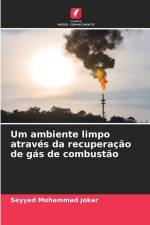 Um ambiente limpo através da recuperação de gás de combustão af Seyyed Mohammad Jokar