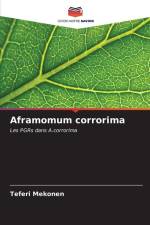 Aframomum corrorima af Teferi Mekonen