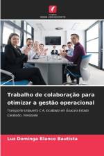 Trabalho de colaboração para otimizar a gestão operacional af Luz Dominga Blanco Bautista