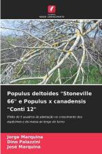 Populus deltoides 