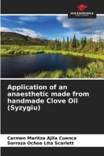 Application of an anaesthetic made from handmade Clove Oil (Syzygiu) af Carmen Maritza Ajila Cuenca