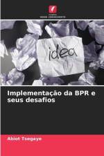 Implementação da BPR e seus desafios af Abiot Tsegaye
