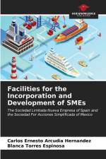 Facilities for the Incorporation and Development of SMEs af Carlos Ernesto Arcudia Hernandez