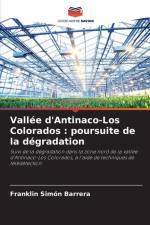 Vallée d'Antinaco-Los Colorados : poursuite de la dégradation af Franklin Simón Barrera