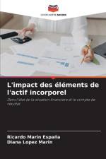 L'impact des éléments de l'actif incorporel af Ricardo Marin España