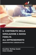 IL CONTRIBUTO DELLA SIMULAZIONE A BASSA FEDELTÀ ALL'APPRENDIMENTO af Kawther Belhaj Salah