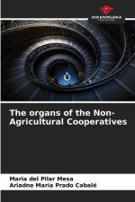 The organs of the Non-Agricultural Cooperatives af Maria del Pilar Mesa