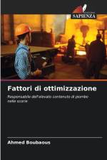 Fattori di ottimizzazione af Ahmed Boubaous