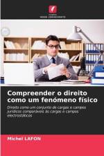 Compreender o direito como um fenómeno físico af Michel Lafon